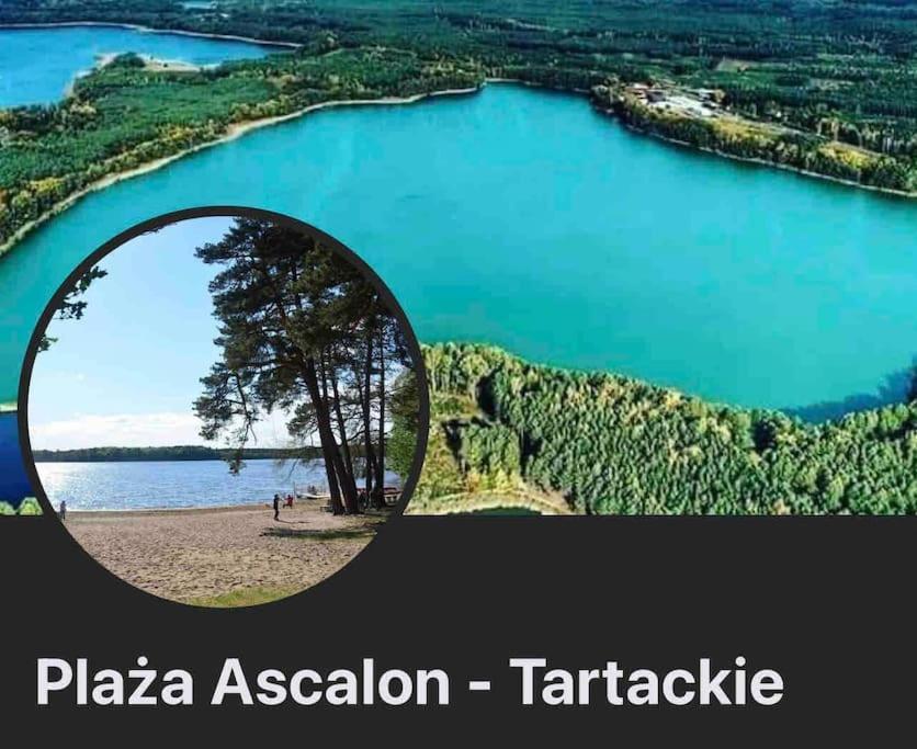 Komfortowy Dom W Lesie Miedzichowo Екстер'єр фото
